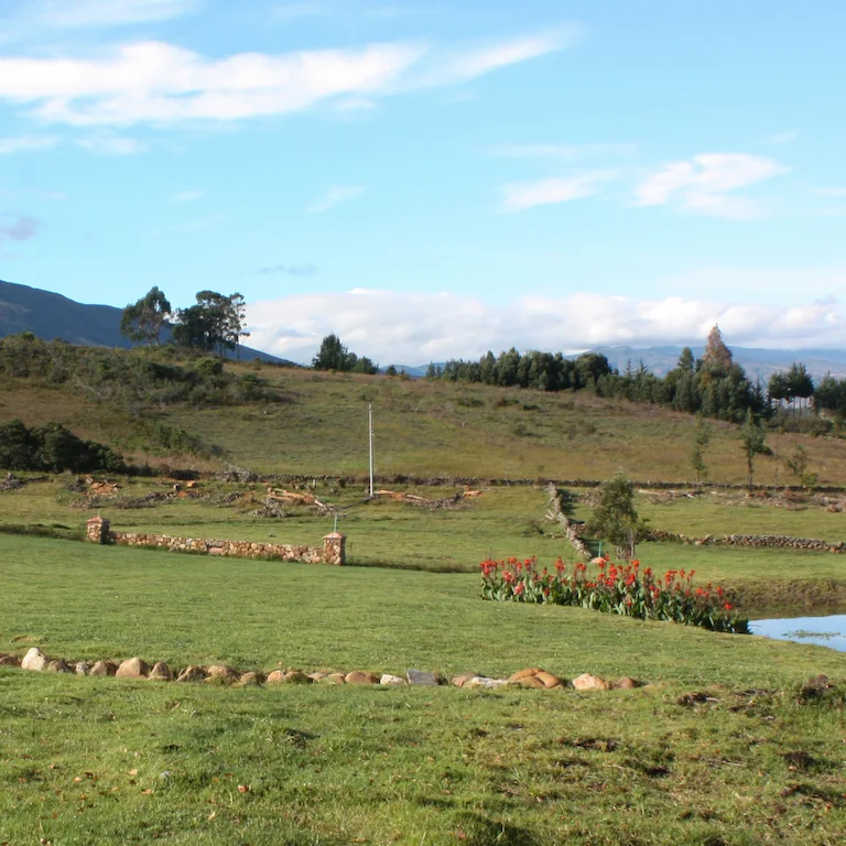 Ecoparque en 2011: erosión y baja presencia de vegetación